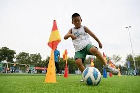 中国女棒赛事密度变化观察