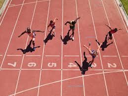 樊振东率队登顶德国杯 当选赛事MVP