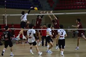 火箭四新星全崩盘！申京阿门关键失误，史密斯狂铁，谢泼德无防守