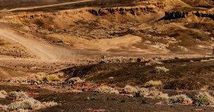 意甲-帕夫洛维奇建功迪巴拉失点 AC米兰1-0胜罗马