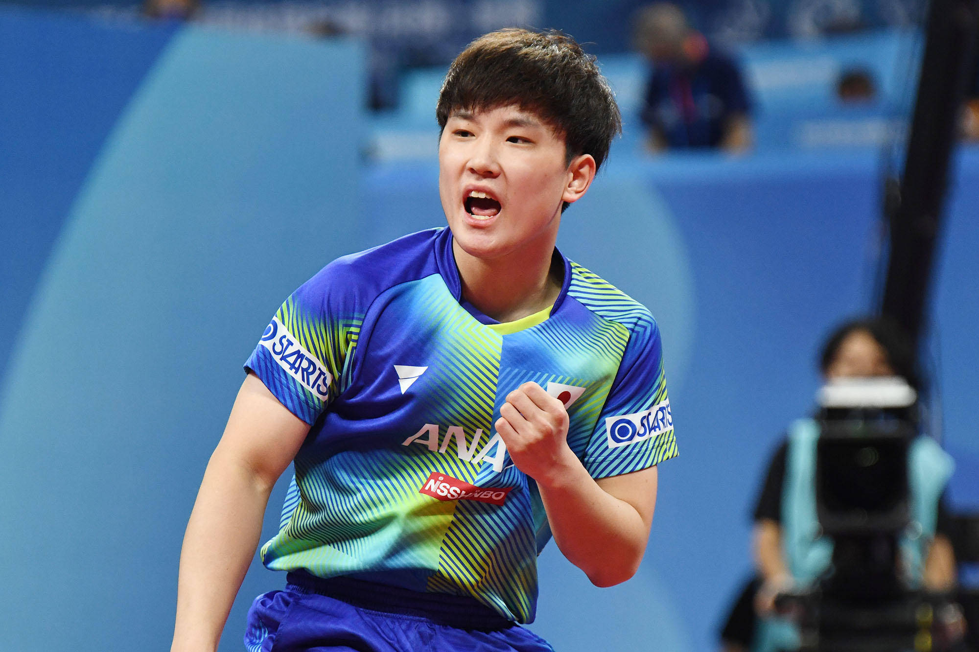 球迷的视角 球迷的视角